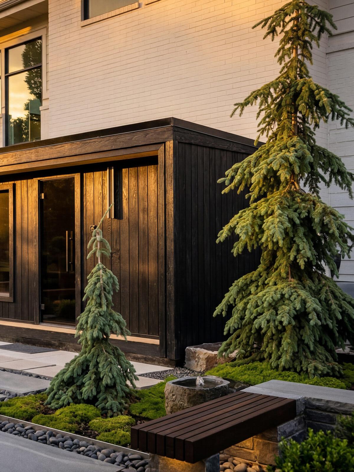 A blackened-timber structure and specimen conifer over a stone-and-moss garden at dusk