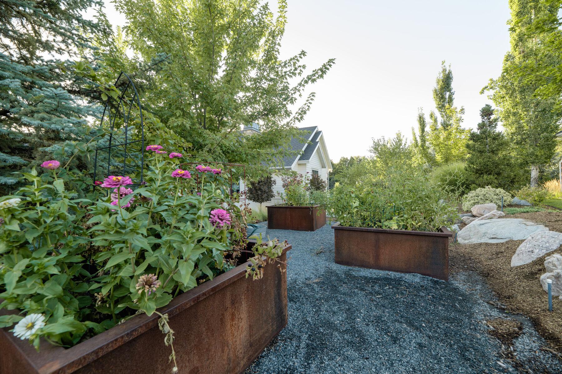 Corten steel raised planters in full flower above a gravel path