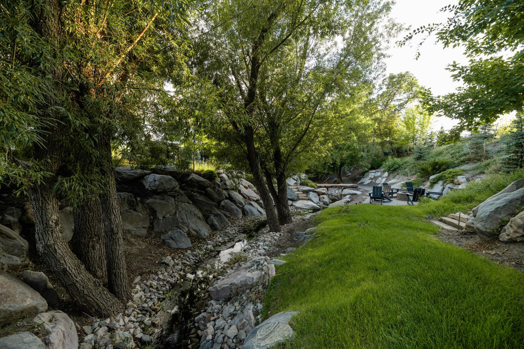 A mature multi-stem tree standing over boulder edging and mown lawn