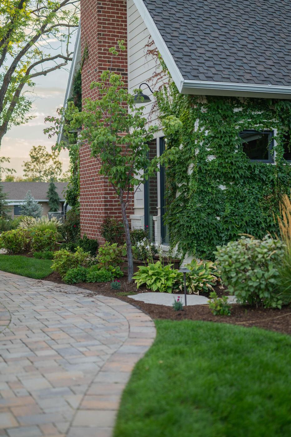 Planting massed against a brick house beside a paver walk