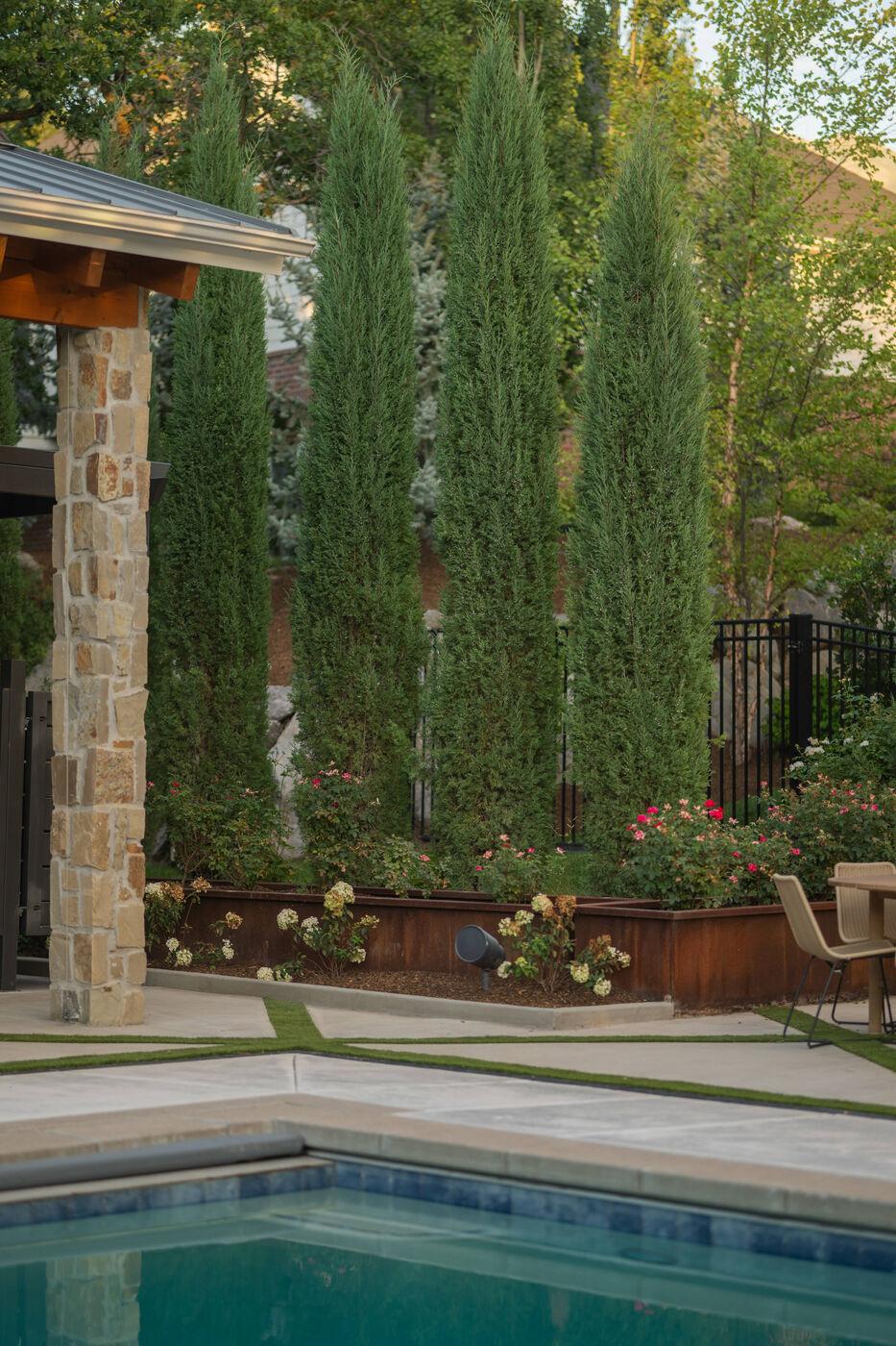 Columnar poplars and a corten steel planter flanking the shallow end of a pool