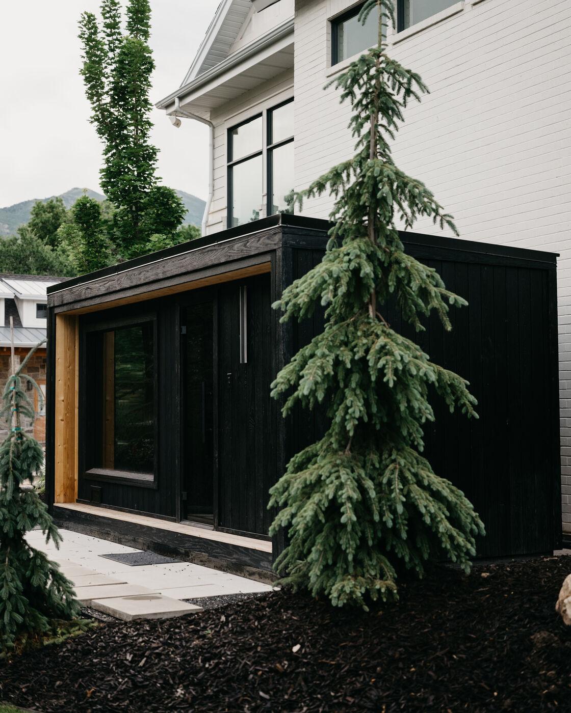 A blackened-timber studio with a spruce standing at its corner